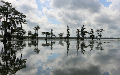 Les origines du projet Up The Mississippi