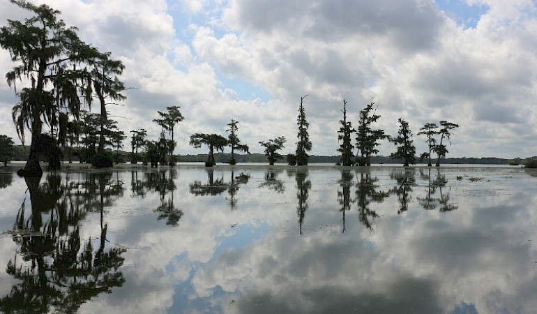 Les origines du projet Up The Mississippi
