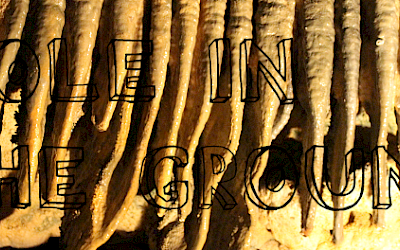 « Être une Taupe » vs « A Mole In the Ground »