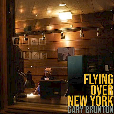 Flying Over New York
