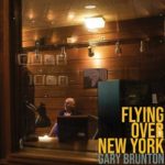 FLYING OVER NEW YORK