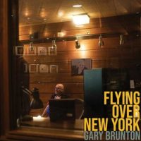 FLYING OVER NEW YORK